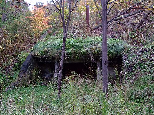 c0023862_281989.jpg