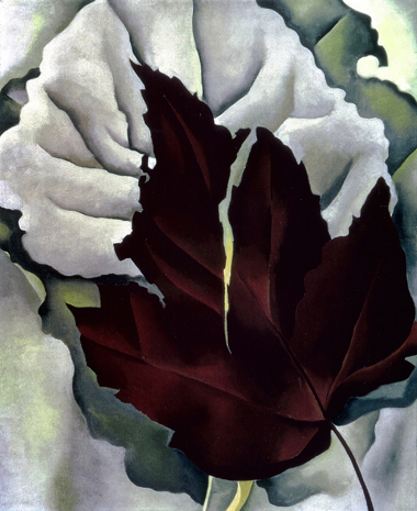c0201763_96255.jpg