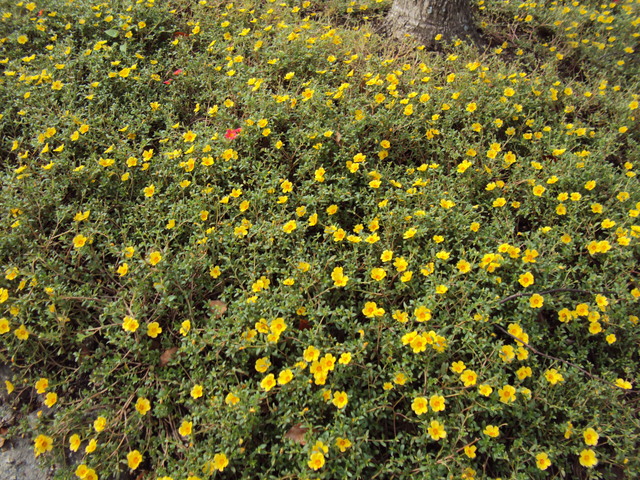 c0099564_1722976.jpg