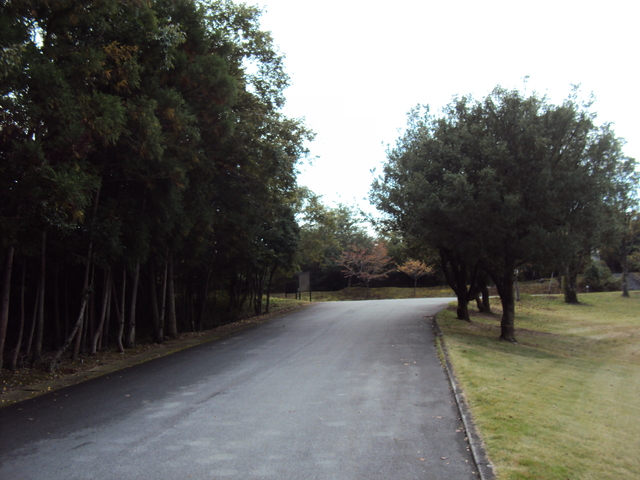 c0099564_173151.jpg