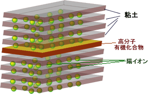 土壌の科学　（ドイツの腸管出血性大腸菌から）_f0044065_1314160.gif