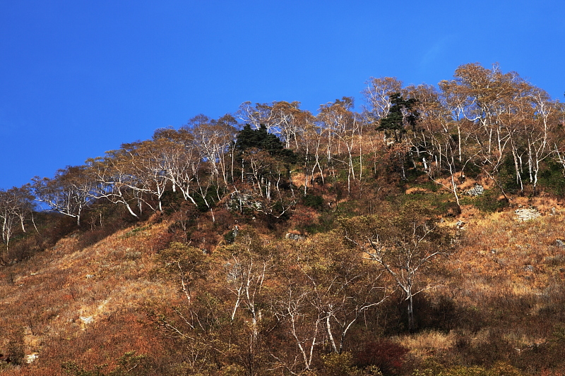 樅沢岳→鏡平→新穂高（2011年秋）_a0118466_539216.jpg