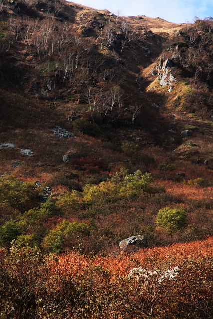 樅沢岳→鏡平→新穂高（2011年秋）_a0118466_5393376.jpg