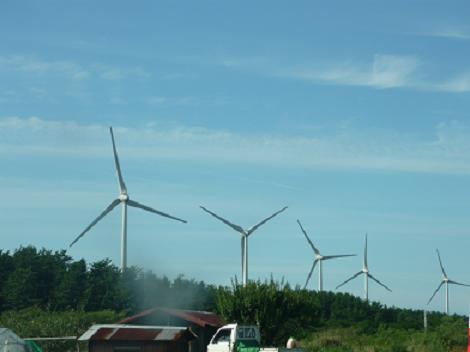 e0139167_22637.jpg