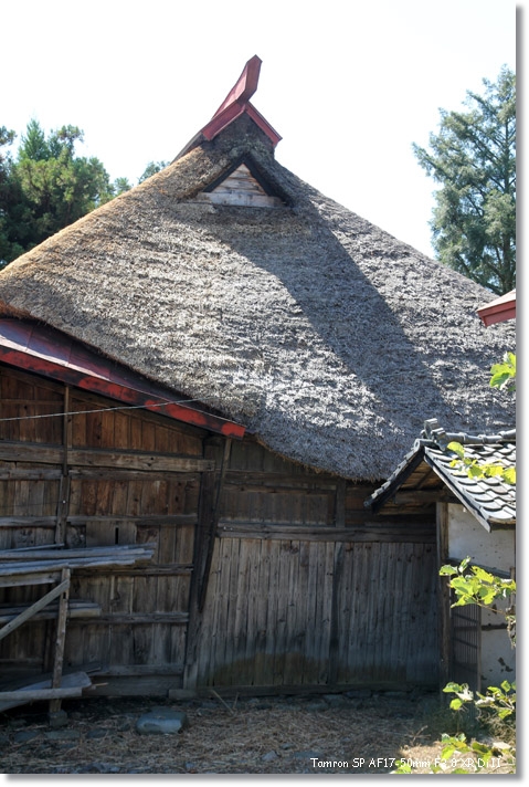 c0054876_1754742.jpg