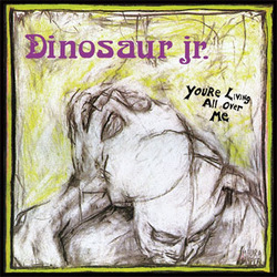 DINOSAUR Jr.！初期3作品がJagjaguwarよりLpにて再発！ 入荷！_d0246877_9115996.jpg