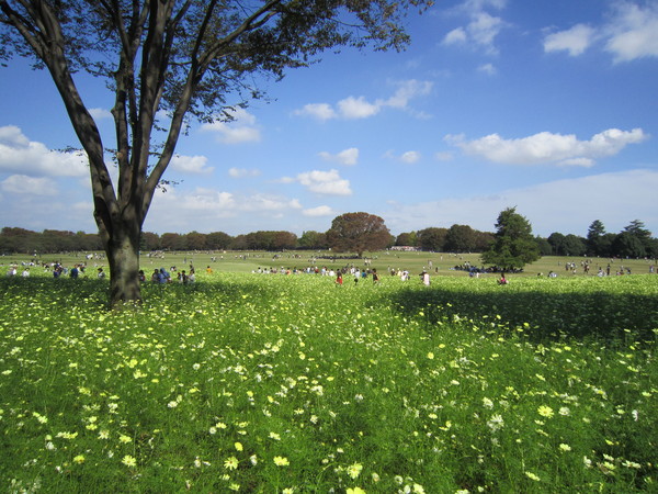 昭和記念公園_a0180279_18363823.jpg