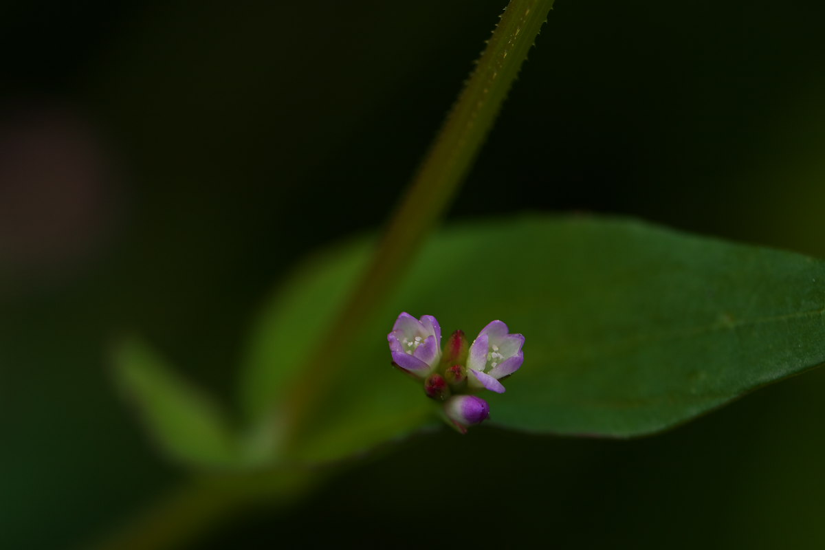 a0083081_16551411.jpg