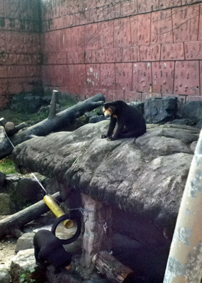 c0029281_23392280.jpg