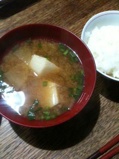 青葉の森 大陶器市_a0191183_21125564.jpg
