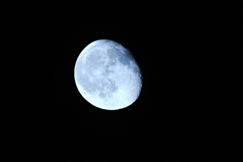 a0174092_18364640.jpg