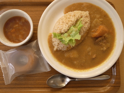 泥武士キッチンの優しいカレー_f0226892_14292563.jpg