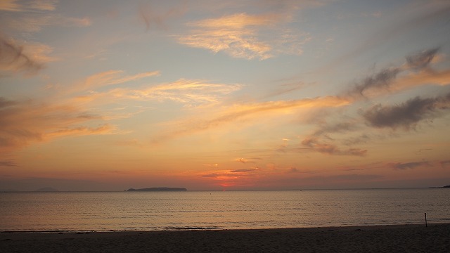 d0181193_23591054.jpg