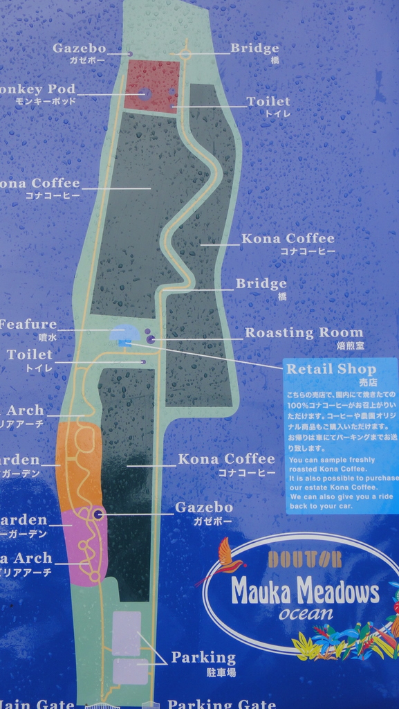 e0099496_10313630.jpg