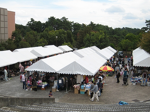 d0212097_041064.jpg