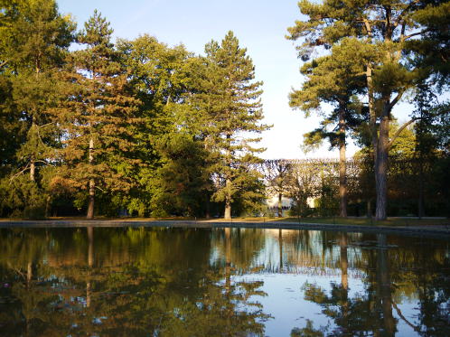 c0090198_5285210.jpg