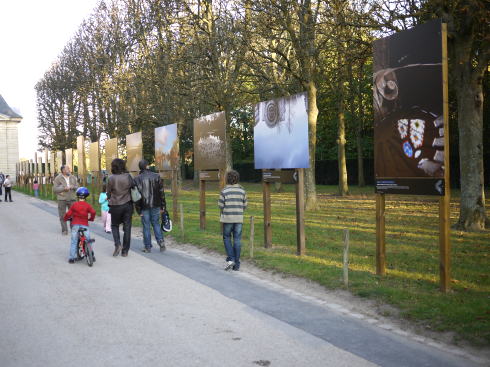 c0090198_55437.jpg