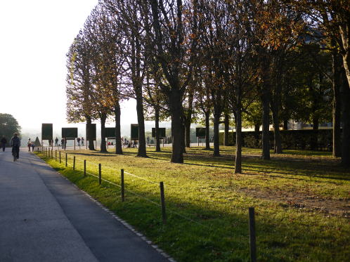 c0090198_564213.jpg