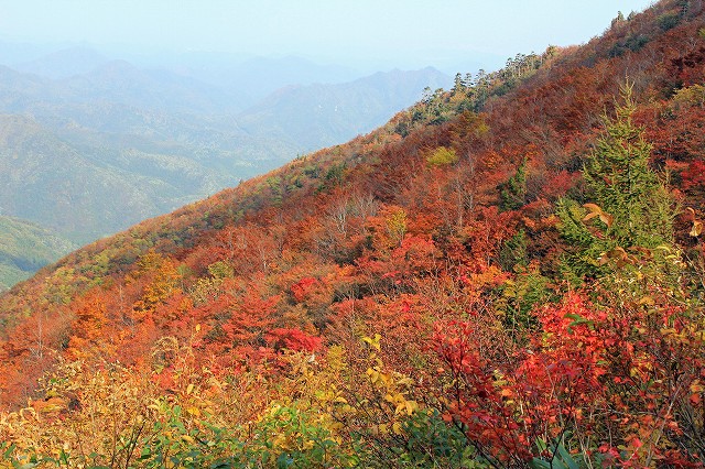 e0137200_21584999.jpg