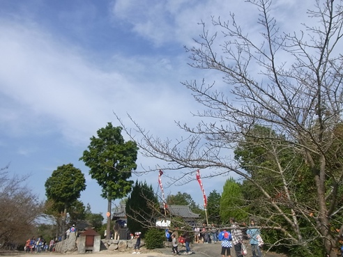 c0205806_8354428.jpg