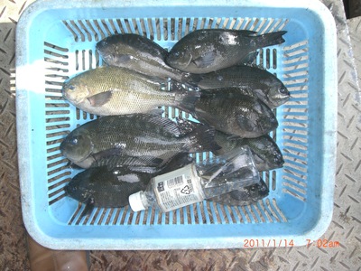 紀伊長島_e0150006_19194528.jpg