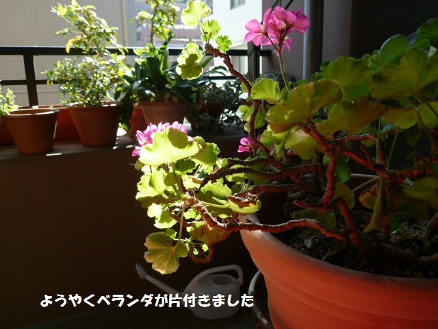 e0094407_16343995.jpg