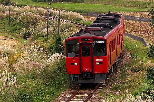 d0036708_21585752.jpg