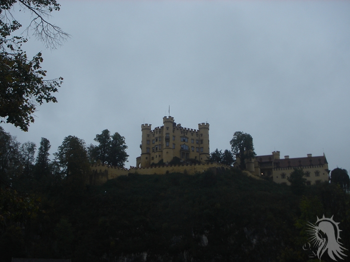 e0045908_4191919.jpg