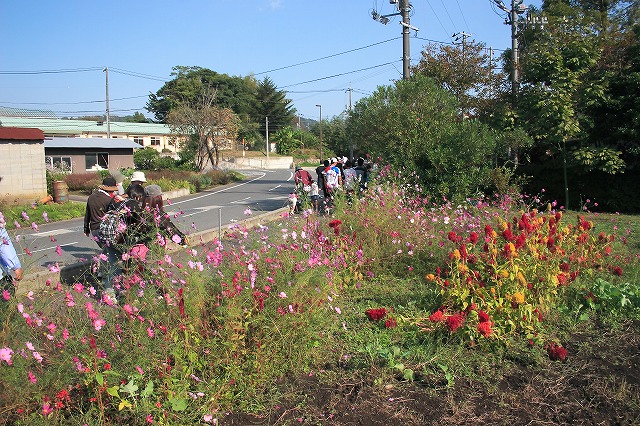 f0011412_13441567.jpg