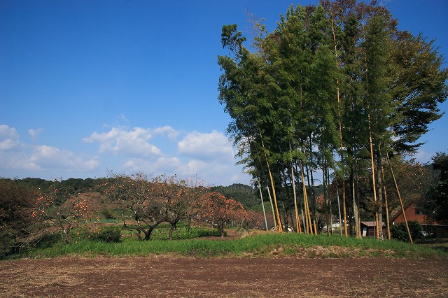 f0011412_13452337.jpg