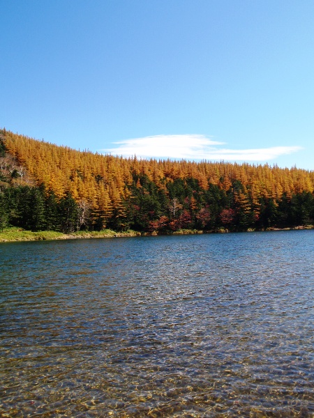 c0177814_1232011.jpg