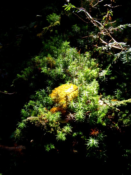 c0177814_13115813.jpg