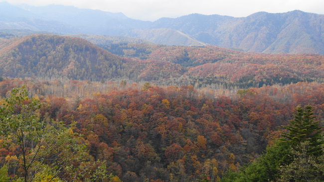 信州の紅葉　紅葉真っ盛り！乗鞍高原_f0233414_2146249.jpg