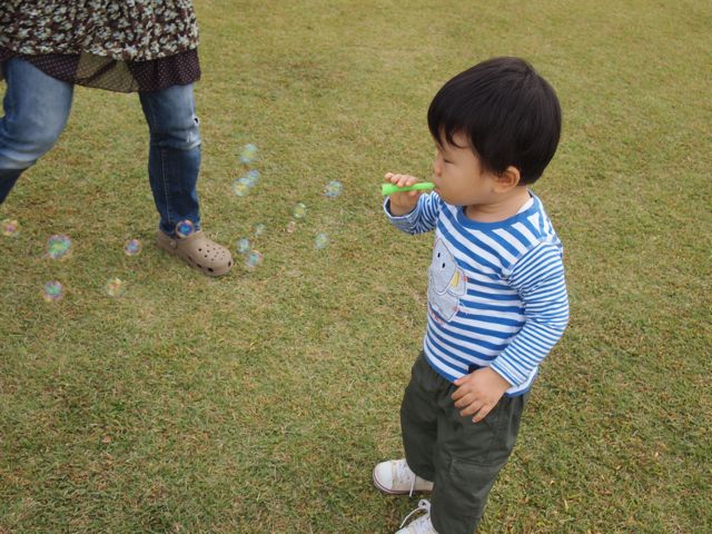 a0151615_0582596.jpg