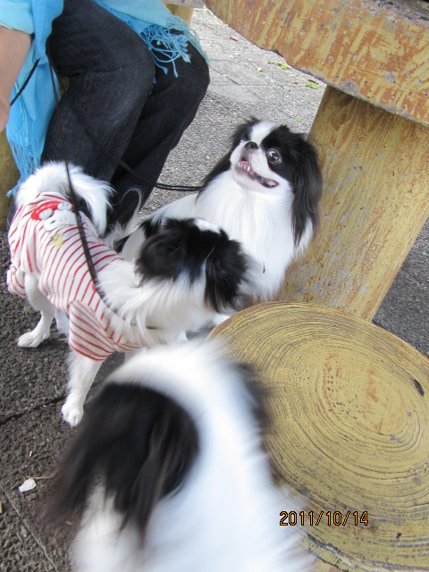 c0200916_1125877.jpg