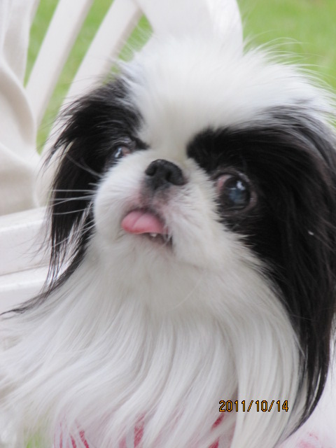 c0200916_12110.jpg