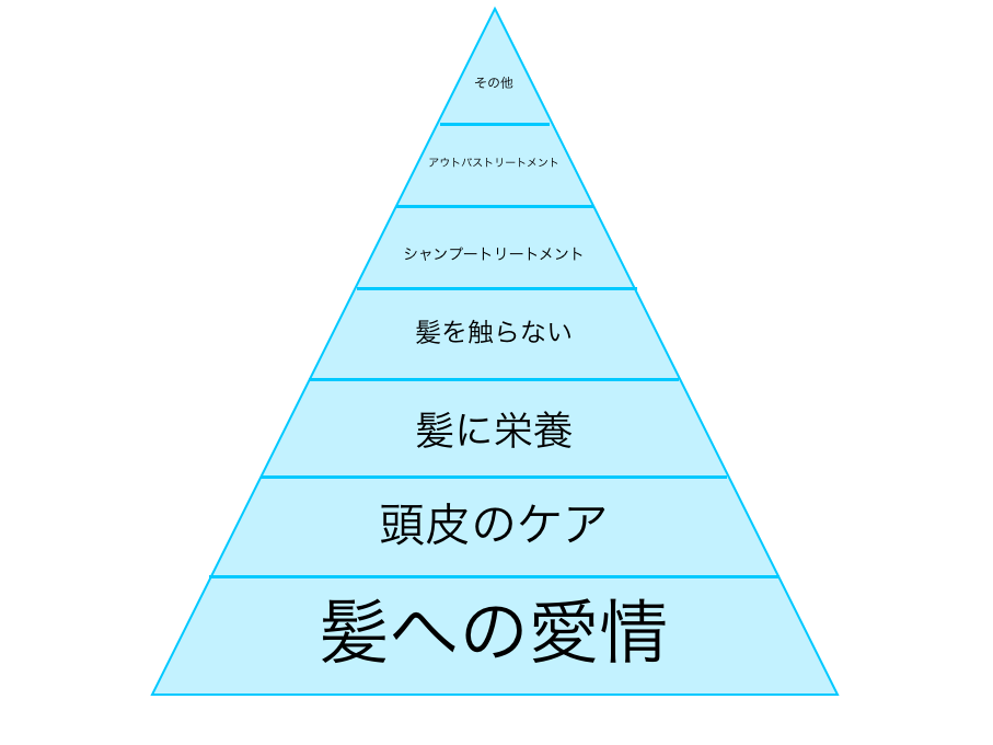 ヘアケアの優先順位_c0222817_1944072.png