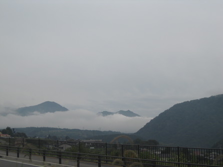 a0125419_821386.jpg