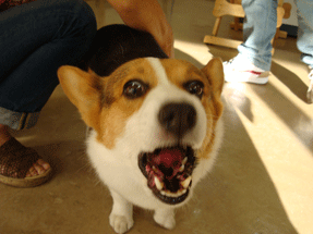 f0232522_1317427.gif