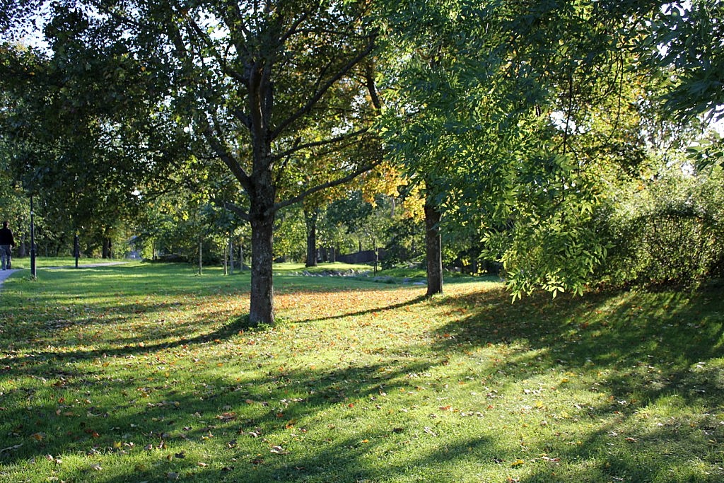 e0250023_92465.jpg