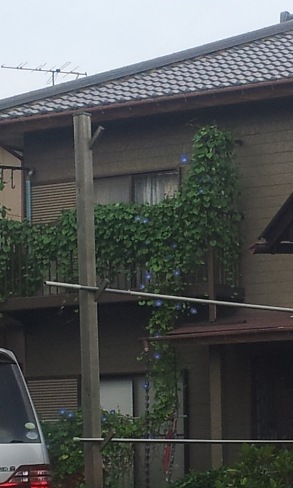 c0109726_1539886.jpg