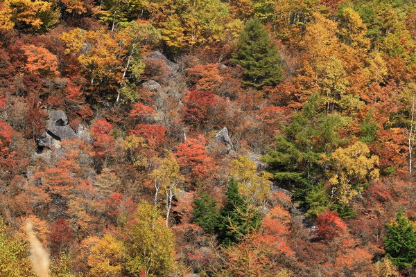 c0104227_2026226.jpg