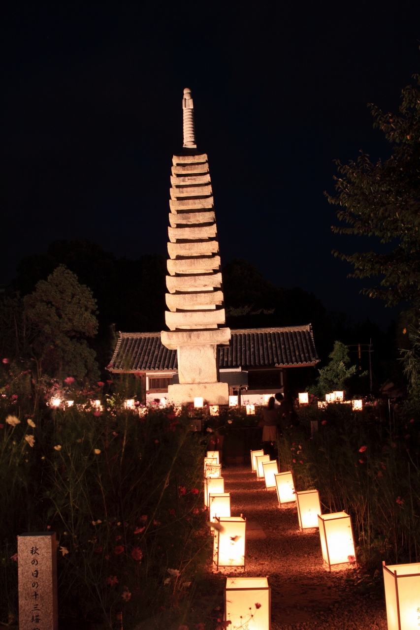d0200029_199070.jpg