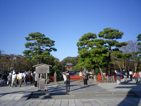 a0224731_028189.jpg