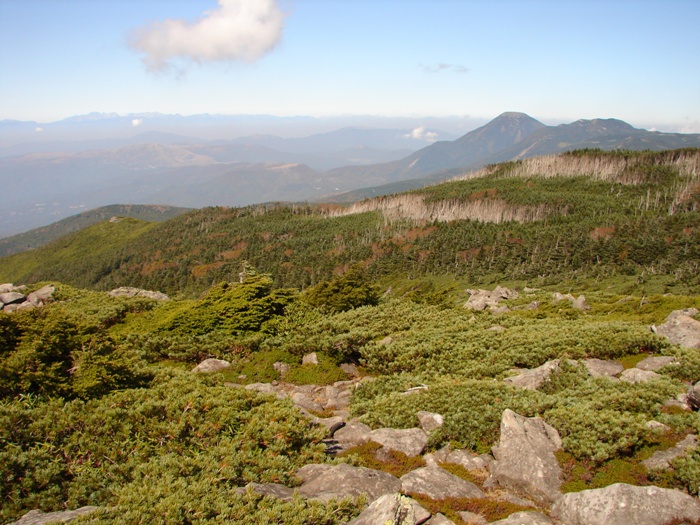 e0254331_16402925.jpg