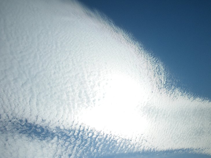 雨のちさわやかな秋晴れ_f0118332_03159.jpg