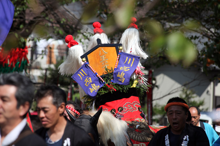 八王子神社　秋祭り_c0188434_23421280.jpg