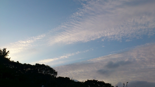 f0229844_013798.jpg