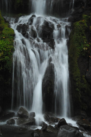 c0093046_8273828.jpg
