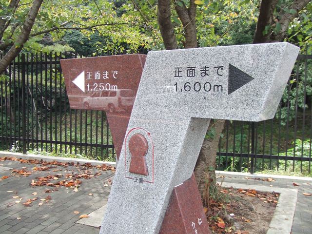 Exercise around the Nintoku Mausoleum, the largest graveyard in the world_e0046748_23363810.jpg